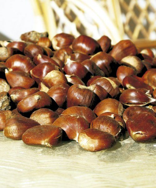Propiedades y beneficios de las castañas